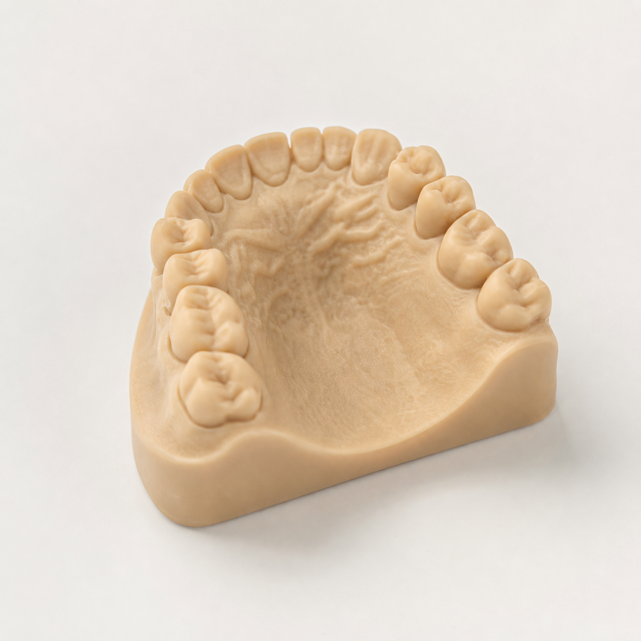 Printed dental model product